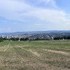 Teren intravilan , 3150 mp , Panoramic , Dambu Rotund  thumb 1