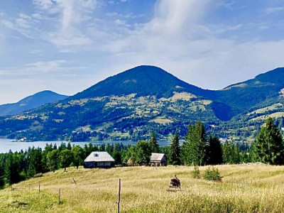 Panorama Lacului/ Terenul Perfect la Colibița/40 de ari