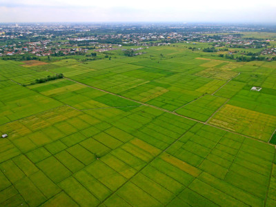 Teren intravilan de vanzare sau schimb, 2800mp, Popesti