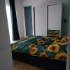 Apartament 3 camere , modern , 65 MP, Fagului, parcare subterana . thumb 6