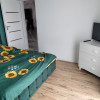 Apartament 3 camere , modern , 65 MP, Fagului, parcare subterana . thumb 7