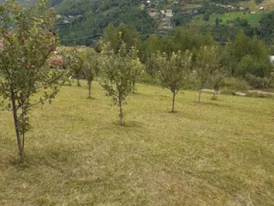 Oportunitate investiție, teren de 2300mp, cabana, zona lacului Tarnita