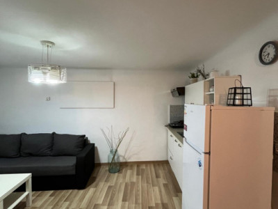 Apartament Ultracentral Piata Muzeului