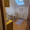 Apartament cu 1 camere la mansarda thumb 5