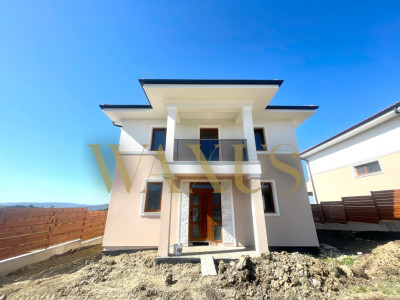 Casa individuală , Dezmir 