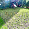 Apartament 3 Camere / Gradina / Ultracentral / zona Profi Eroilor thumb 9
