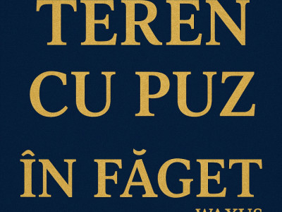 Teren cu PUZ /Faget 