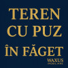 Teren cu PUZ /Faget  thumb 1