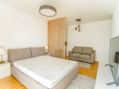Apartament cu o camera, View spre lac, balcon, parcare, zona Iulius Mall