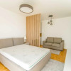 Apartament cu o camera, View spre lac, balcon, parcare, zona Iulius Mall thumb 1