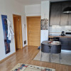 Apartament de 2 camere, 40 mp, zona Iulius Mall  thumb 2
