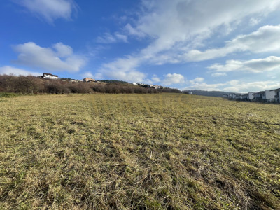 Teren intravilan - 4412mp I Deschidere la drum - Centura Vivo 