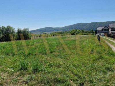 Teren intravilan de vanzare, in Crainimat