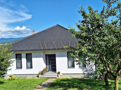 Casa tip parter, zona Unirea