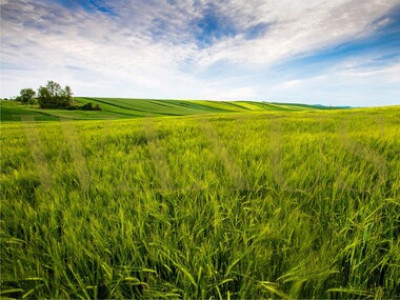 Teren 10 arii,zona aerodrom,extravilan