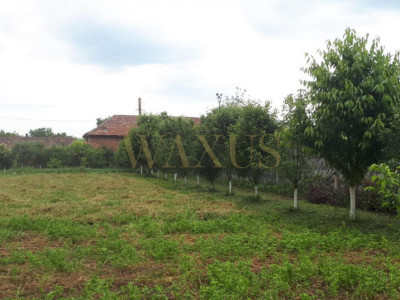 Teren 11 arii,Zona Dedeman