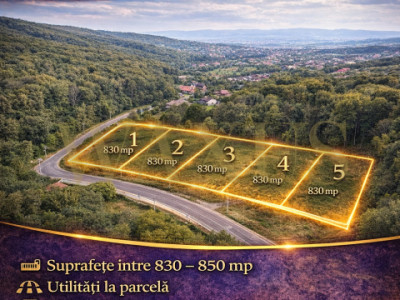 Proiect Exclusiv - 5 Parcele de Teren I PUZ Aprobat - Faget