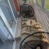 Apartament 2 camere 50mp util |balcon |parcare | Zona Eroilor thumb 5