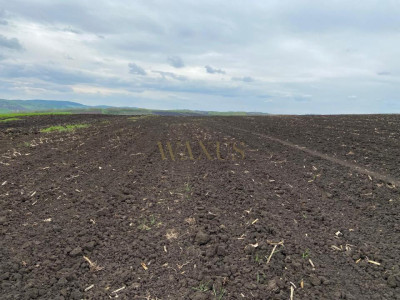 Teren extravilan, 10.200mp, județul BN