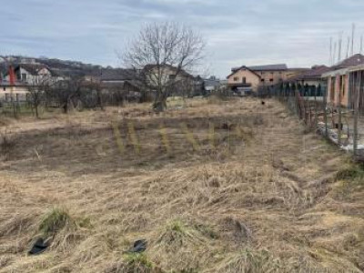 Teren 20 Ari de vanzare zona Dedeman