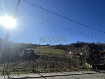 Teren 53 Ari,zona centura,6500/Ar