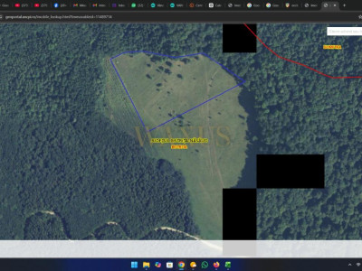 Teren 2,3 Ha poiana lu Grec,Tarpiului extravilan