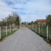 Casa tip parte, 677 mp curte,Unirea imaginea mica 5 Casa tip parte, 677 mp curte,Unirea thumb 5