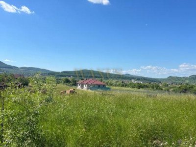 Oportunitate de investitie,Valea ghinzii,Teren de 1,2 Hectare
