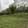 Casa individuală, P+M, zona Lama imaginea mica 41 Casa individuală, P+M, zona Lama thumb 41