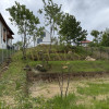 CASA INDIVIDUALA IN FELEACU CU PANORAMA SUPERBA imaginea mica 8 CASA INDIVIDUALA IN FELEACU CU PANORAMA SUPERBA thumb 8