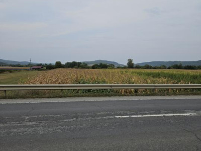 Teren intravilan 2.900 mp la DN17, Uriu – front 18,5 m, toate utilitățile, intab