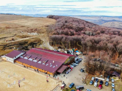  Teren extravilan 4.500 mp în Ciurila – natură, liniște și intimitate.