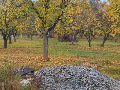 Teren de vânzare –  25 ari, zona Viile cu Pomi